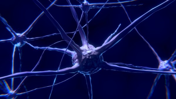 Ученые назвали причину уникальности человеческого мозга