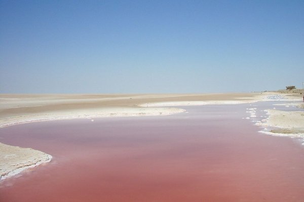В Крыму возобновили добычу «молодильной» соли из розового озера