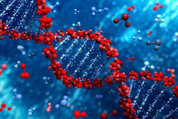 Учёные обнаружили ген, виновный в развитии энцефалопатии и деменции