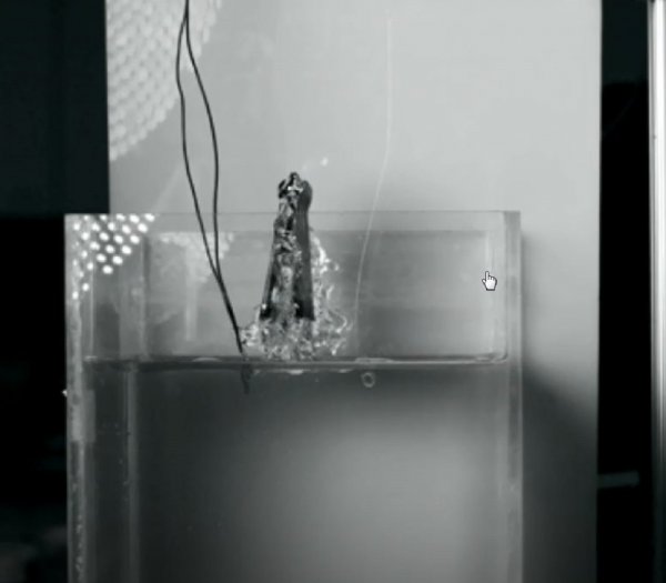 Американские ученые создали робота, который умеет выпрыгивать из воды