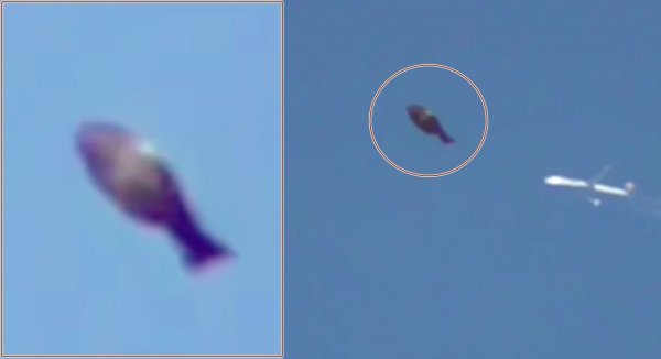 Странный НЛО в форме огромной рыбы сняли на видео в Лондоне – уфологи