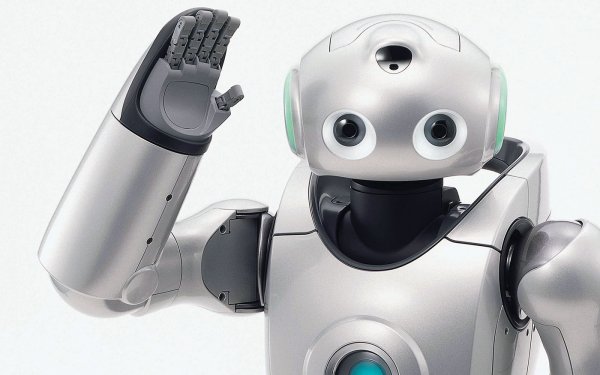 Ученые из Австралии сделали прогноз о внешнем виде роботов будущего