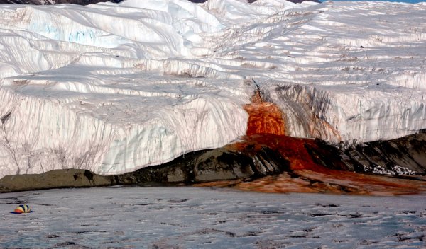 Катастрофа близко: Льды Антарктиды покрылись трещинами
