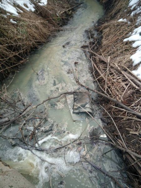 Экологическая катастрофа: Поселок под Екатеринбургом заливает река из нечистот