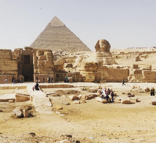 Откровения Египта: Ученый назвал крокодилов причиной строительства пирамид