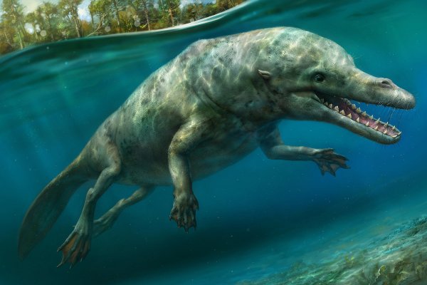 «Древний Крокодилоид с Нибиру»: Учёные нашли свидетельства инопланетного происхождения жизни на Земле - уфолог