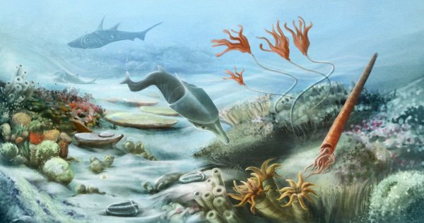 Жизнь появилась не в океане? Учёные из США раскрыли правду о зарождении жизни на Земле