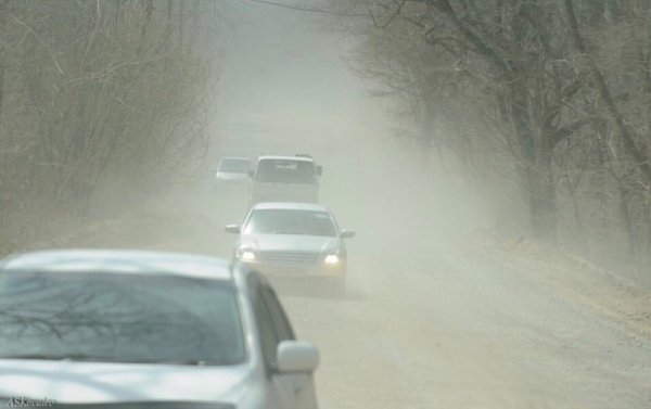 «Кожемяко, помогите!»: Жители острова Русский устали глотать пыль и просят заасфальтировать дорогу